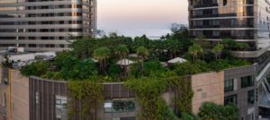 Rooftop garden