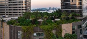 Rooftop garden