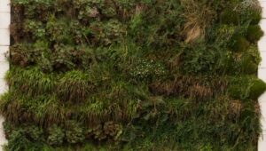 Living Wall