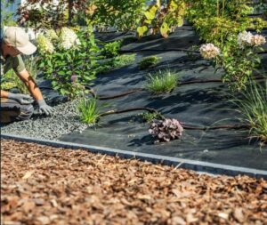 Landscaping